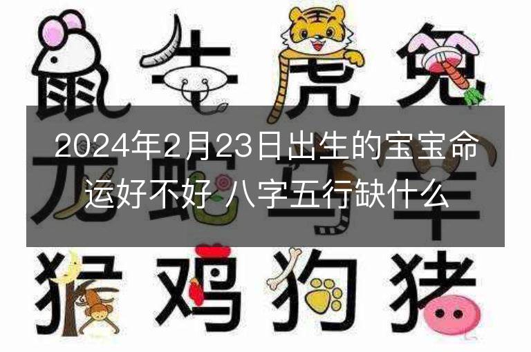 2024年2月23日出生的寶寶命運好不好 八字五行缺什么