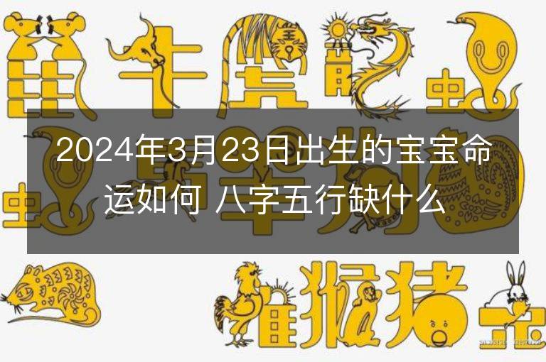 2024年3月23日出生的寶寶命運如何 八字五行缺什么