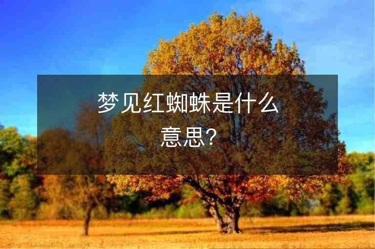 夢(mèng)見(jiàn)紅蜘蛛是什么意思？