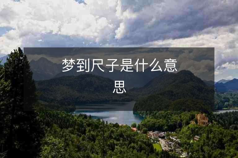 夢到尺子是什么意思