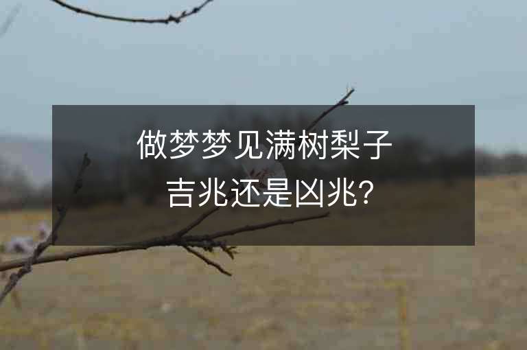 做夢夢見滿樹梨子 吉兆還是兇兆？