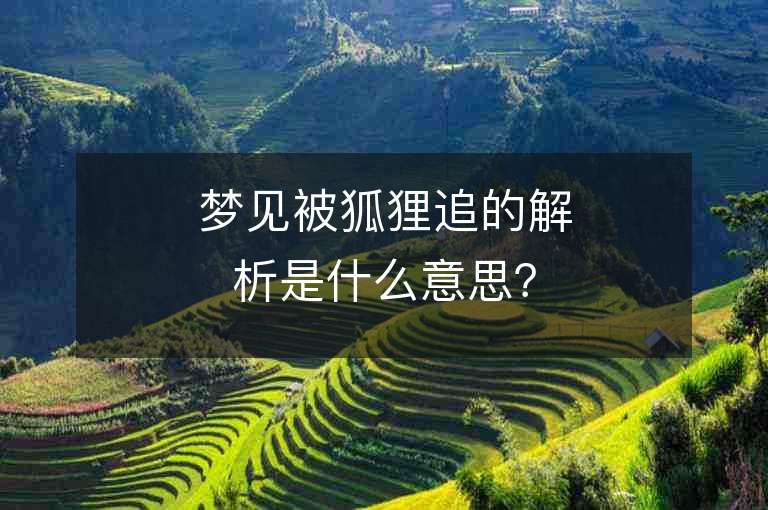 夢見被狐貍追的解析是什么意思？