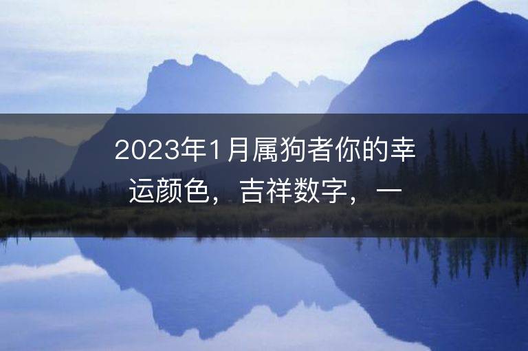 2023年1月屬狗者你的幸運顏色，吉祥數字，一查便知！