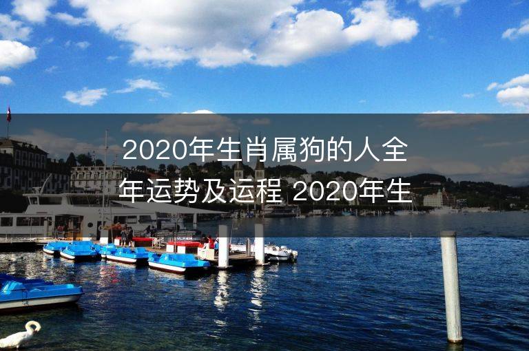 2020年生肖屬狗的人全年運勢及運程 2020年生肖屬狗運勢好不好