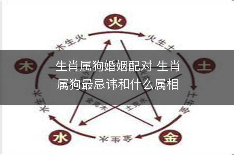 生肖屬狗婚姻配對(duì) 生肖屬狗最忌諱和什么屬相搭配