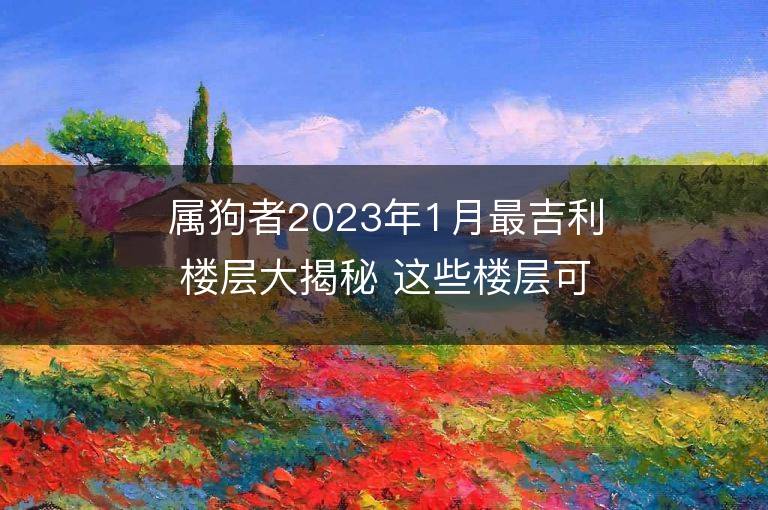 屬狗者2023年1月最吉利樓層大揭秘 這些樓層可改運