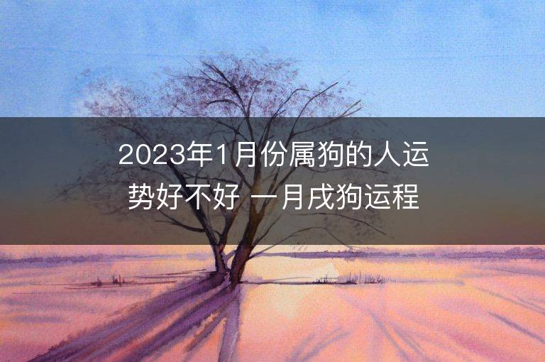 2023年1月份屬狗的人運勢好不好 一月戌狗運程全面分析