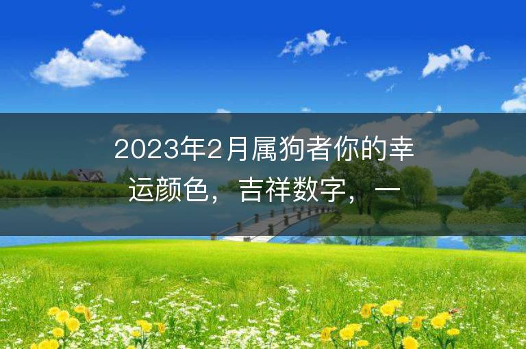 2023年2月屬狗者你的幸運顏色，吉祥數(shù)字，一查便知！