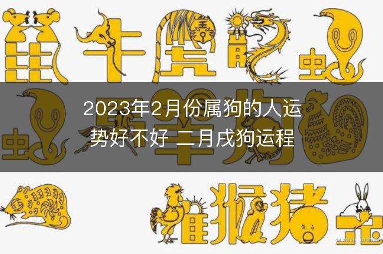 2023年2月份屬狗的人運勢好不好 二月戌狗運程全面分析