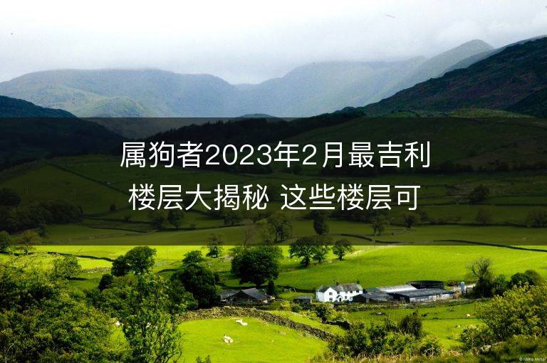 屬狗者2023年2月最吉利樓層大揭秘 這些樓層可改運(yùn)