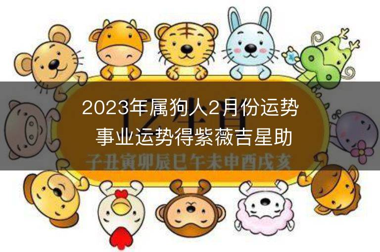 2023年屬狗人2月份運勢 事業運勢得紫薇吉星助力