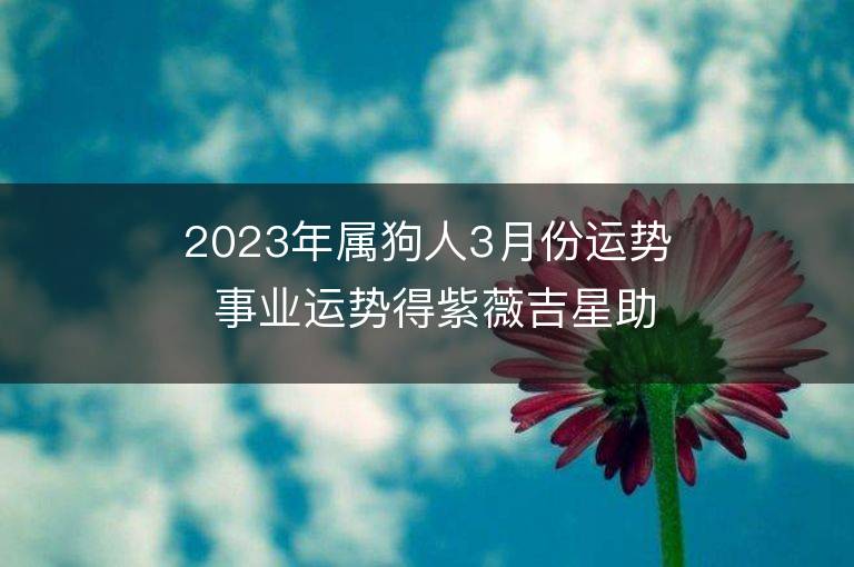 2023年屬狗人3月份運勢 事業運勢得紫薇吉星助力