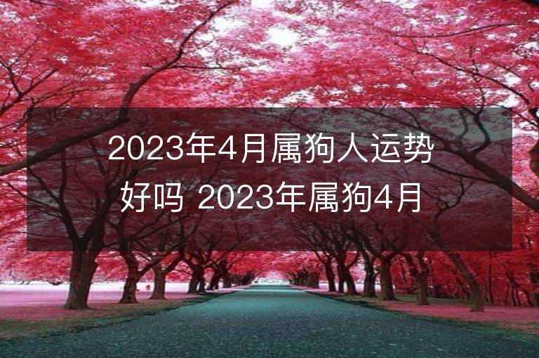 2023年4月屬狗人運勢好嗎 2023年屬狗4月運程如何