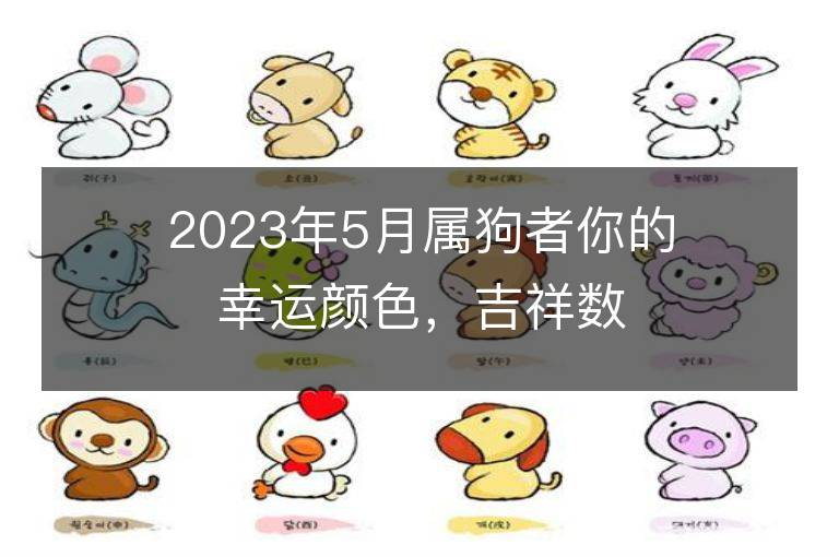 2023年5月屬狗者你的幸運顏色，吉祥數(shù)字，一查便知！