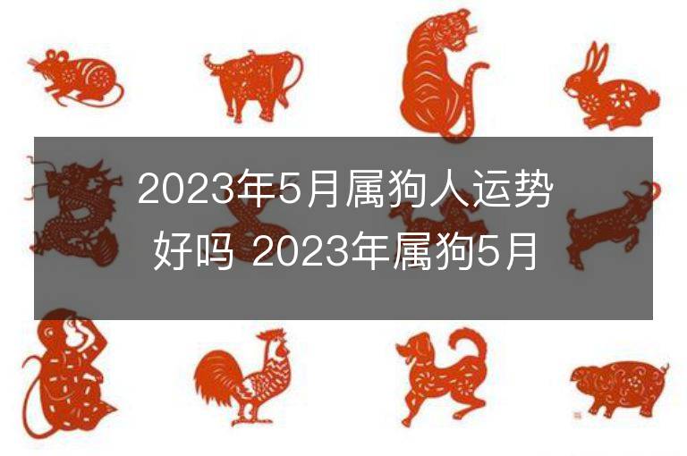 2023年5月屬狗人運勢好嗎 2023年屬狗5月運程如何