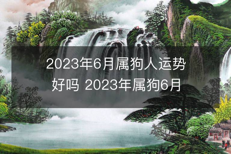 2023年6月屬狗人運勢好嗎 2023年屬狗6月運程如何