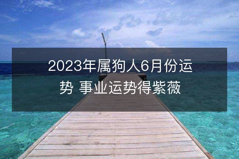 2023年屬狗人6月份運勢 事業運勢得紫薇吉星助力