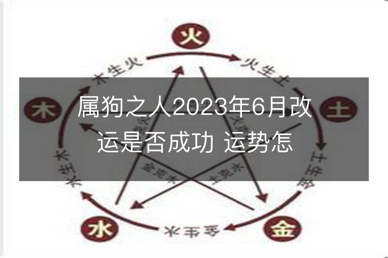 屬狗之人2023年6月改運是否成功 運勢怎么樣