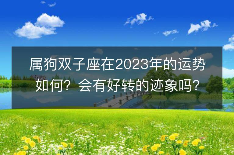 屬狗雙子座在2023年的運勢如何？會有好轉的跡象嗎？