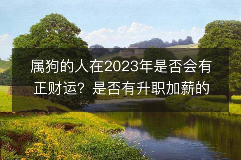 屬狗的人在2023年是否會有正財運？是否有升職加薪的機會？