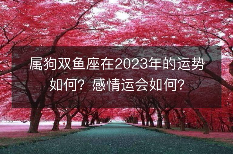 屬狗雙魚座在2023年的運勢如何？感情運會如何？