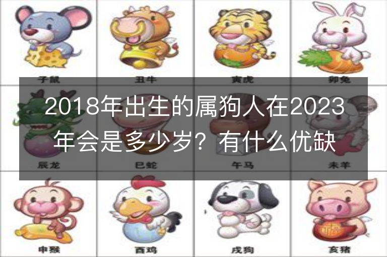 2018年出生的屬狗人在2023年會(huì)是多少歲？有什么優(yōu)缺點(diǎn)？