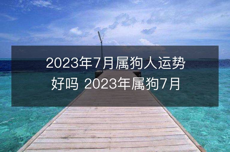 2023年7月屬狗人運勢好嗎 2023年屬狗7月運程如何