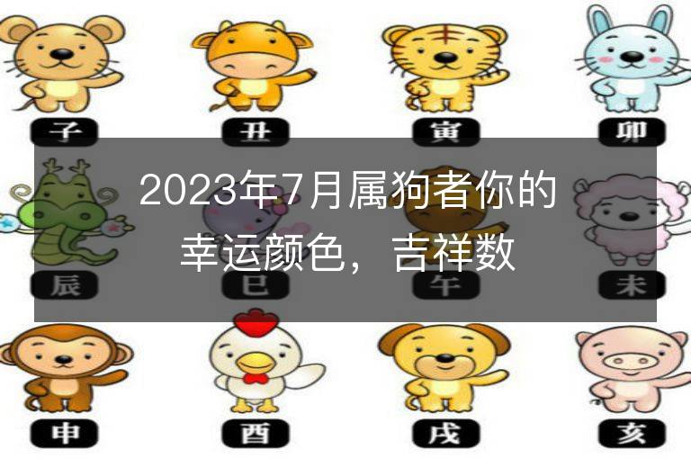 2023年7月屬狗者你的幸運顏色，吉祥數字，一查便知！