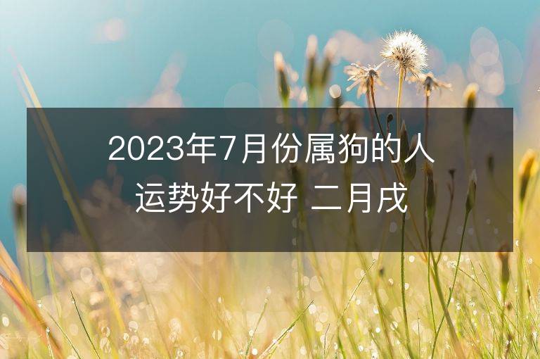 2023年7月份屬狗的人運勢好不好 二月戌狗運程全面分析