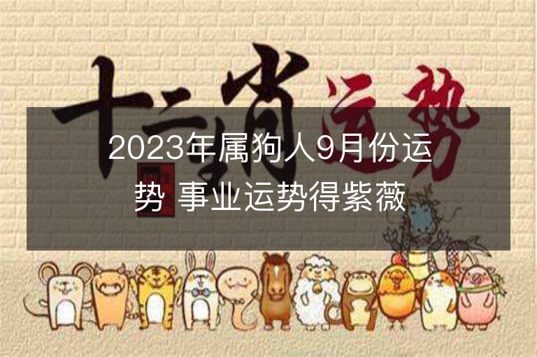 2023年屬狗人9月份運勢 事業運勢得紫薇吉星助力