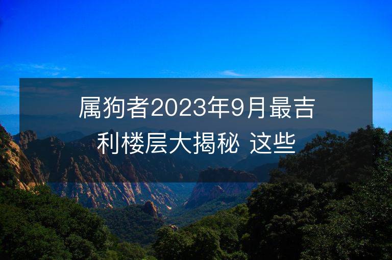 屬狗者2023年9月最吉利樓層大揭秘 這些樓層可改運