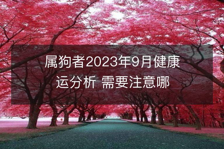 屬狗者2023年9月健康運分析 需要注意哪些問題