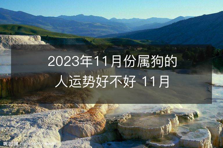 2023年11月份屬狗的人運勢好不好 11月戌狗運程全面分析