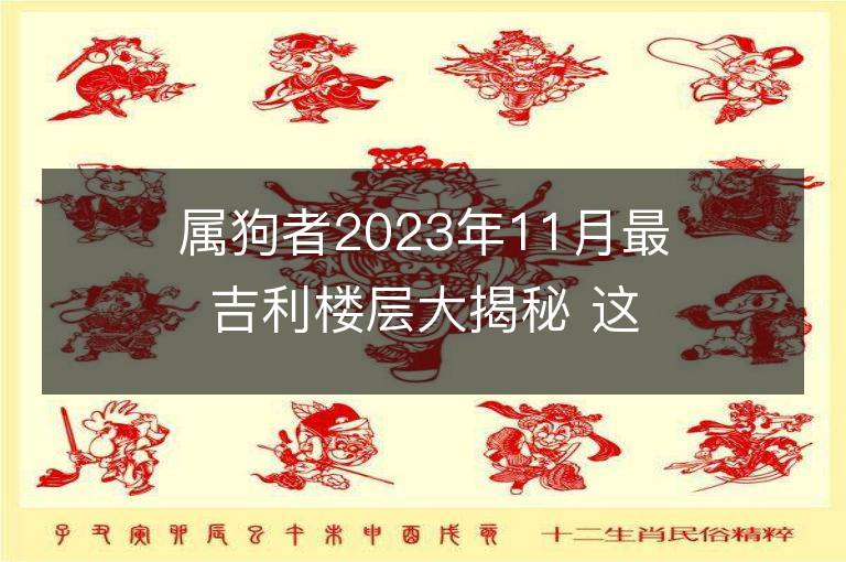 屬狗者2023年11月最吉利樓層大揭秘 這些樓層可改運(yùn)