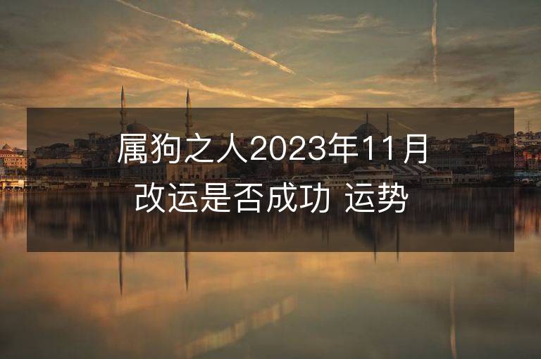 屬狗之人2023年11月改運是否成功 運勢怎么樣