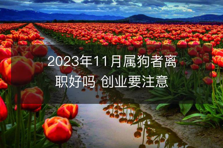 2023年11月屬狗者離職好嗎 創(chuàng)業(yè)要注意的事項