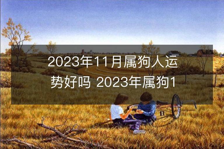 2023年11月屬狗人運勢好嗎 2023年屬狗11月運程如何