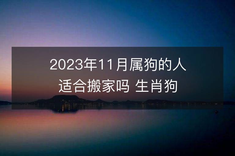 2023年11月屬狗的人適合搬家嗎 生肖狗11月搬遷好不好