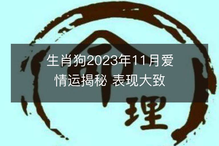 生肖狗2023年11月愛情運揭秘 表現大致尚可