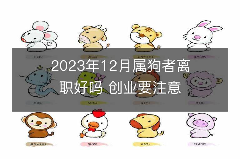 2023年12月屬狗者離職好嗎 創業要注意的事項