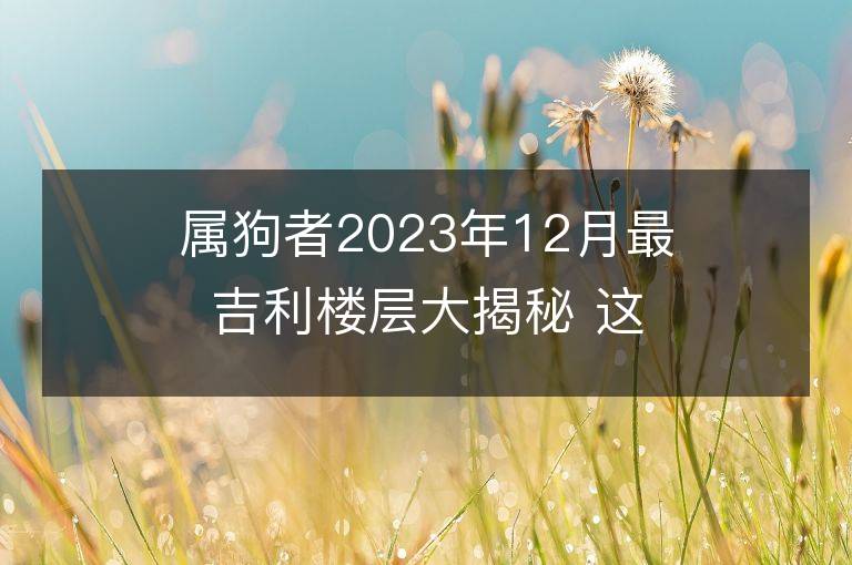 屬狗者2023年12月最吉利樓層大揭秘 這些樓層可改運