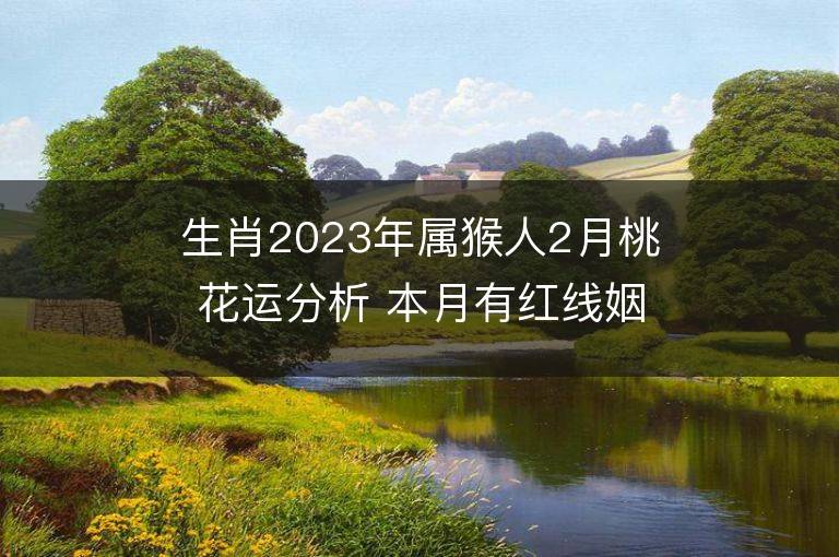 生肖2023年屬猴人2月桃花運(yùn)分析 本月有紅線姻緣嗎