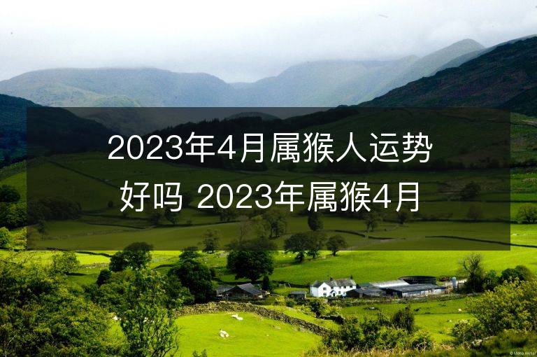 2023年4月屬猴人運勢好嗎 2023年屬猴4月運程如何