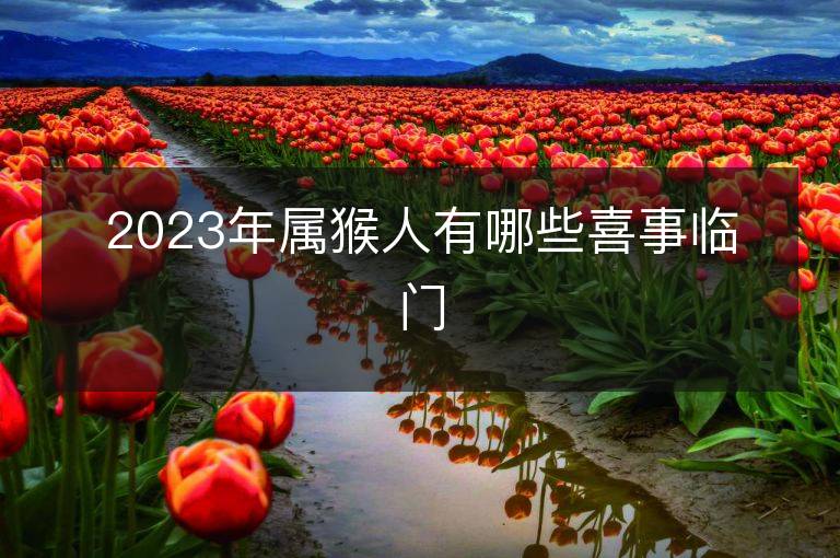 2023年屬猴人有哪些喜事臨門