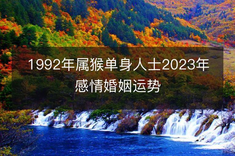 1992年屬猴單身人士2023年感情婚姻運勢