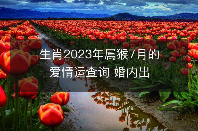 生肖2023年屬猴7月的愛情運查詢 婚內出軌會發生嗎