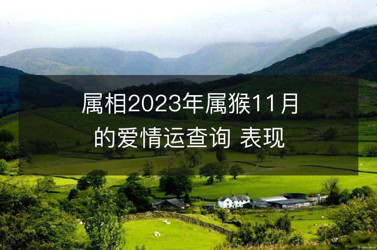 屬相2023年屬猴11月的愛情運查詢 表現很一般要提運