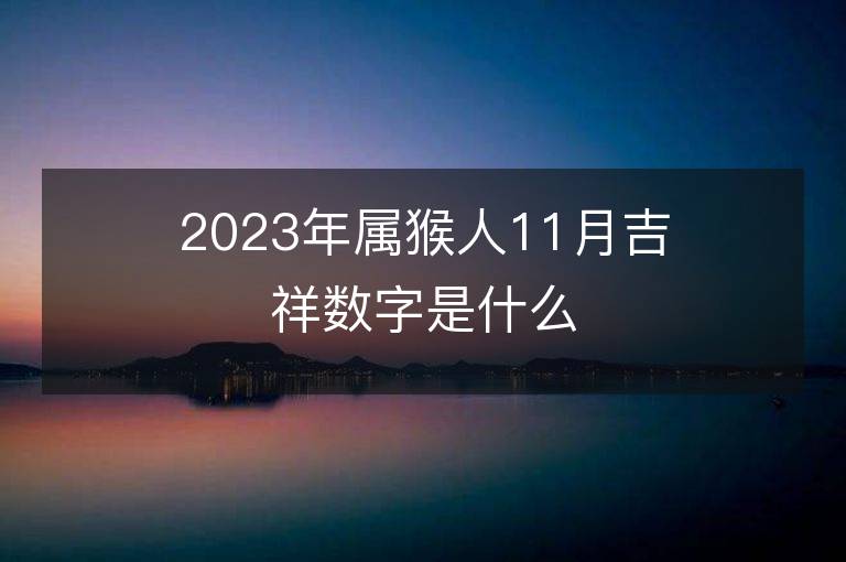 2023年屬猴人11月吉祥數字是什么