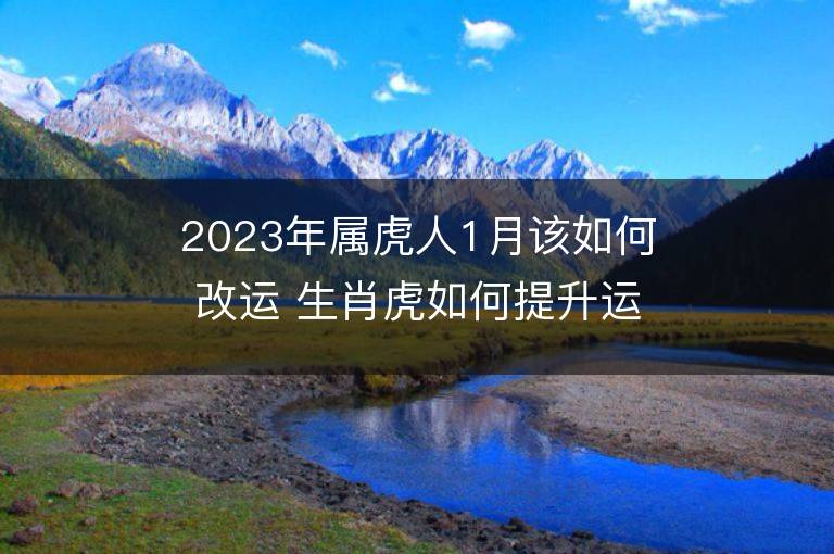 2023年屬虎人1月該如何改運 生肖虎如何提升運勢