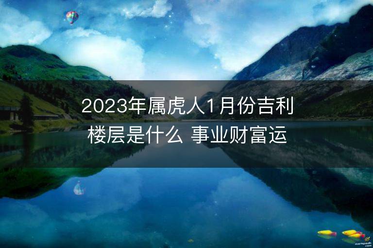 2023年屬虎人1月份吉利樓層是什么 事業財富運勢詳解